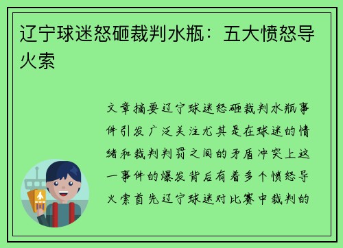 辽宁球迷怒砸裁判水瓶：五大愤怒导火索